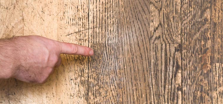 Wood Door Scratch Repair in Fort Myers